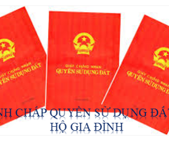 TRANH CHẤP QUYỀN SỬ DỤNG ĐẤT CỦA HỘ GIA ĐÌNH